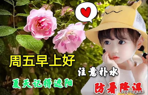 周五早安問候 文化交流活動(dòng)策劃的溫馨起點(diǎn)